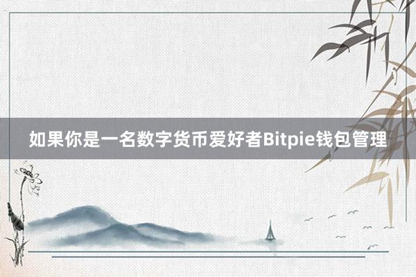 如果你是一名数字货币爱好者Bitpie钱包管理