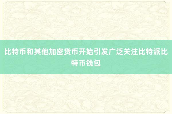 比特币和其他加密货币开始引发广泛关注比特派比特币钱包