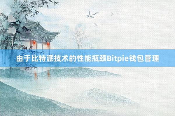 由于比特派技术的性能瓶颈Bitpie钱包管理