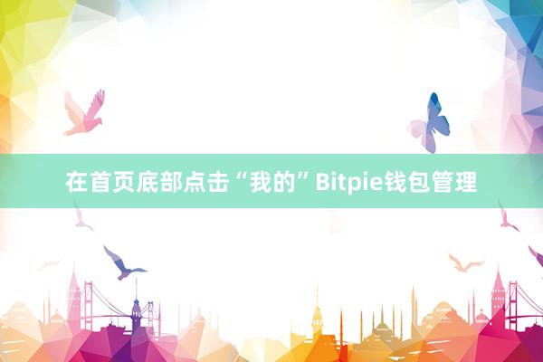 在首页底部点击“我的”Bitpie钱包管理