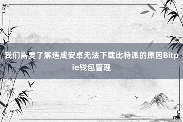 我们需要了解造成安卓无法下载比特派的原因Bitpie钱包管理