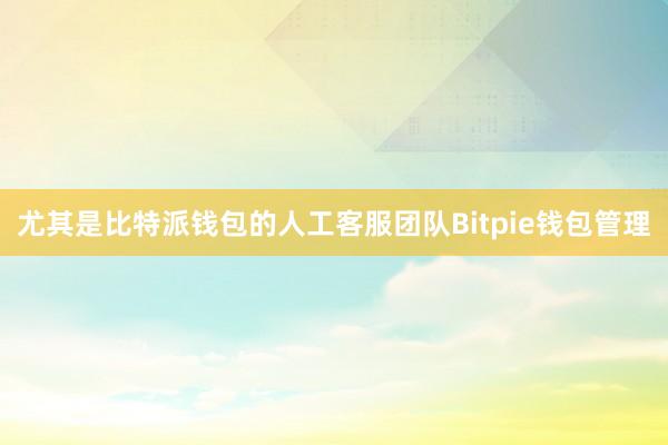 尤其是比特派钱包的人工客服团队Bitpie钱包管理