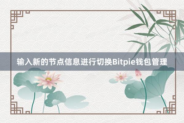 输入新的节点信息进行切换Bitpie钱包管理