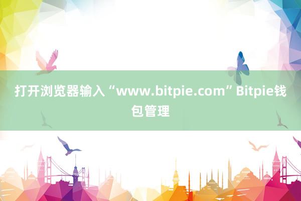 打开浏览器输入“www.bitpie.com”Bitpie钱包管理