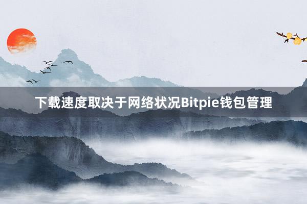 下载速度取决于网络状况Bitpie钱包管理