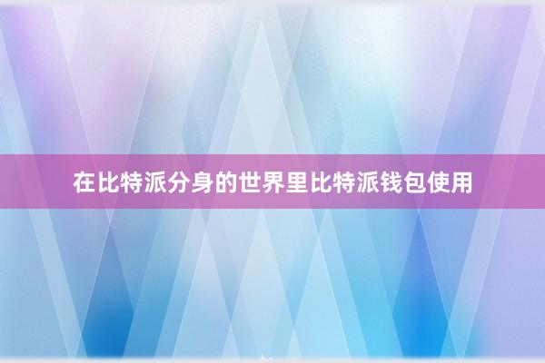 在比特派分身的世界里比特派钱包使用