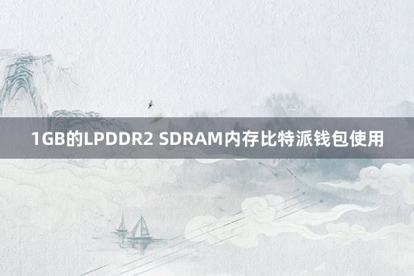 1GB的LPDDR2 SDRAM内存比特派钱包使用