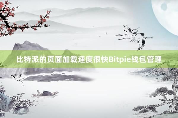 比特派的页面加载速度很快Bitpie钱包管理