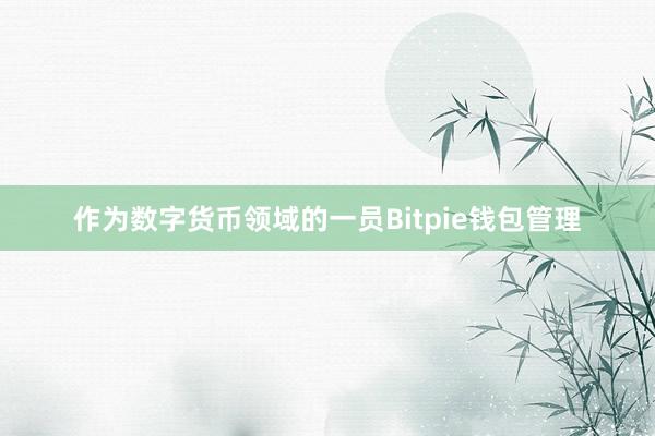 作为数字货币领域的一员Bitpie钱包管理