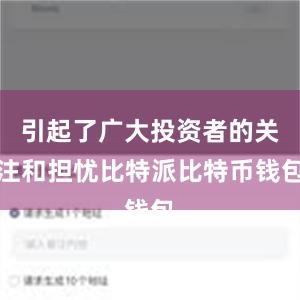 引起了广大投资者的关注和担忧比特派比特币钱包