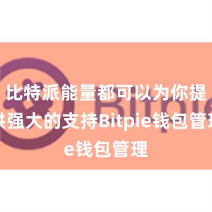 比特派能量都可以为你提供强大的支持Bitpie钱包管理